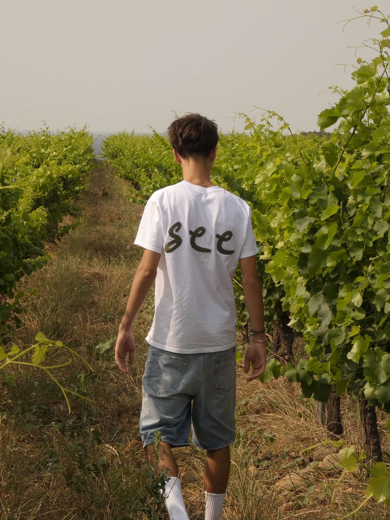 Tee-shirt Manches Courtes